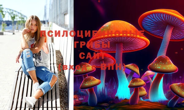 apvp Волоколамск