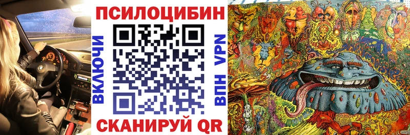 Галлюциногенные грибы Psilocybe  даркнет сайт  Барнаул 